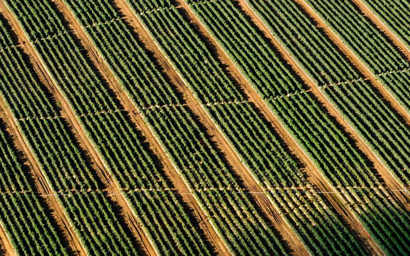 Bản đồ số và hệ tọa độ trong GIS – xu hướng 2026