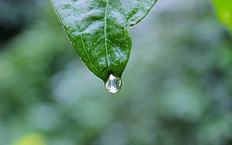 Hội thảo khoa học – kinh nghiệm thực tiễn